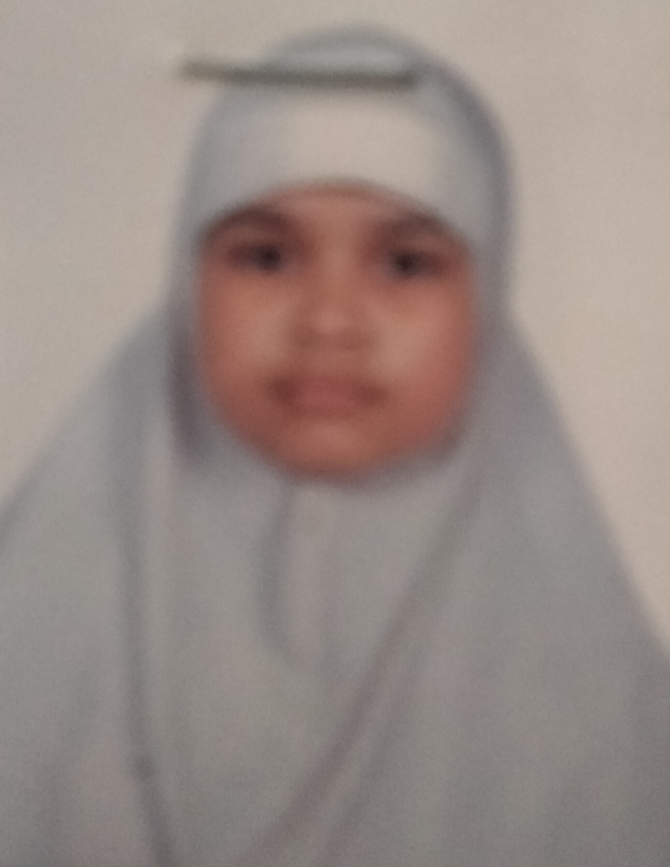 Humaira Afrin Himu